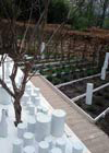 Laboratorio di Progettazione del Paesaggio _ Facoltà di Architettura di Ascoli Piceno le jardin qu'on mange
