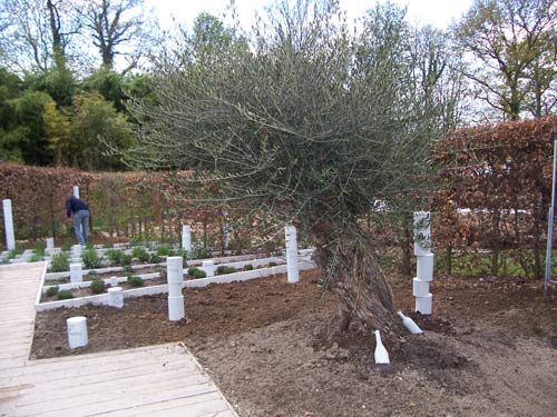 Laboratorio di Progettazione del Paesaggio Unicam Facoltà di Architettura di Ascoli Piceno - Le jardin qu'on mange, chaumont sur loire 2008