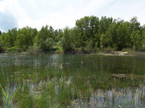Laboratorio di Progettazione del Paesaggio _ Facoltà di Architettura di Ascoli - Il Paesaggio fluviale: il Parco del Foglia
