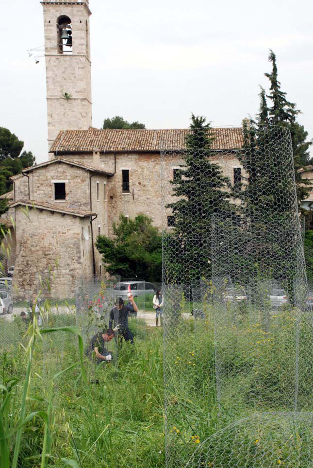 UNICAM - Giardino pensieroso n.5 - convento dell' Annunziata - Ascoli