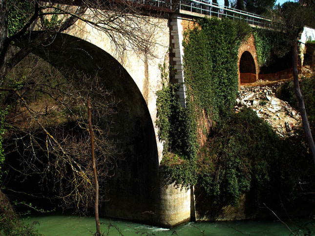 UNICAM - Visita al Parco Fluviale del Potenza