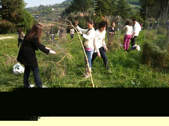 UNICAM - giardino pensieroso 07 - laurea magistrale in Architettura 2' anno