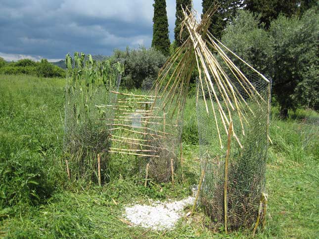 UNICAM - giardino pensieroso 07 - laurea magistrale in Architettura 2' anno