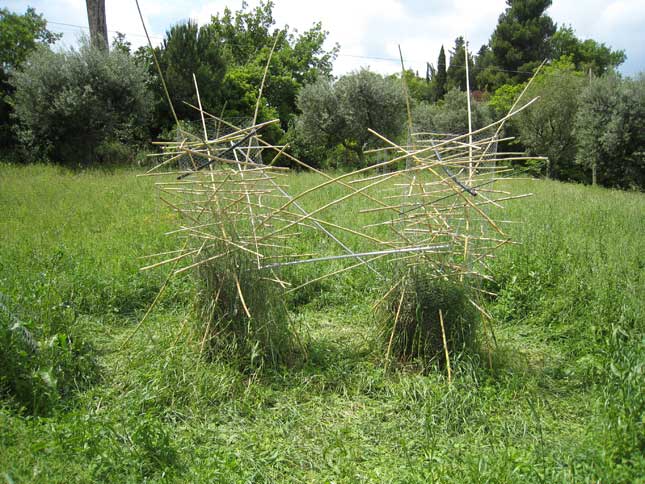 UNICAM - giardino pensieroso 07 - laurea magistrale in Architettura 2' anno