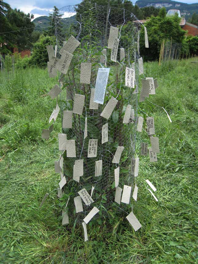 UNICAM - giardino pensieroso 07 - laurea magistrale in Architettura 2' anno