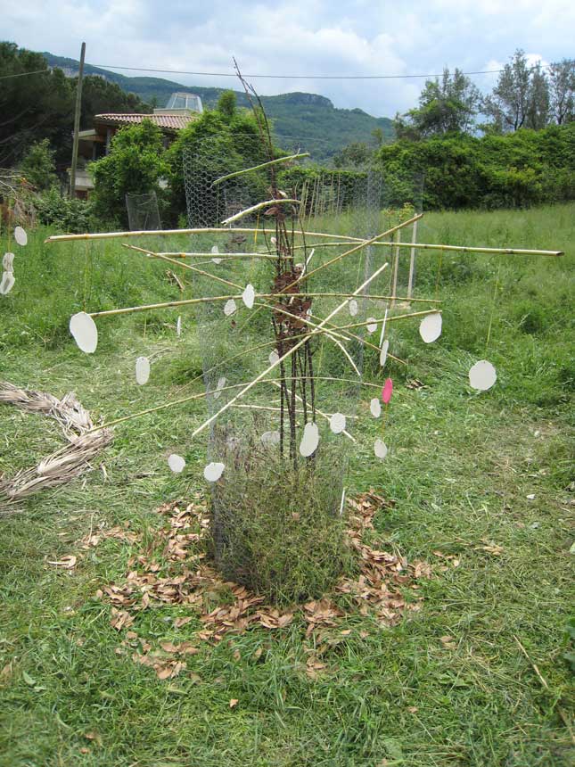 UNICAM - giardino pensieroso 07 - laurea magistrale in Architettura 2' anno