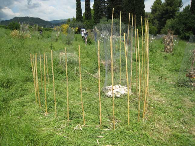 UNICAM - giardino pensieroso 07 - laurea magistrale in Architettura 2' anno