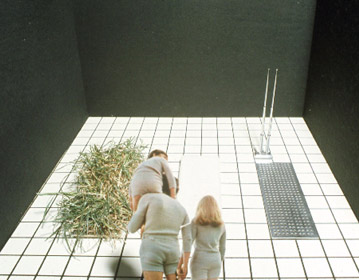 Italy   the new domestic landscape, Museum of Modern Art, New York 1972 | Cristiano Toraldo di Francia